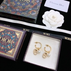 Christian Dior Earrings